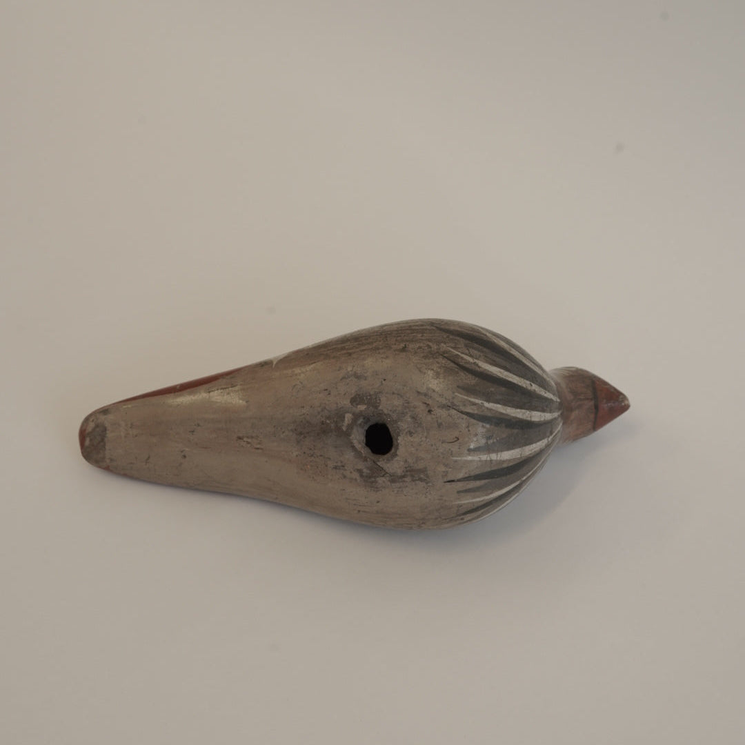 トナラの鳥/メキシコ