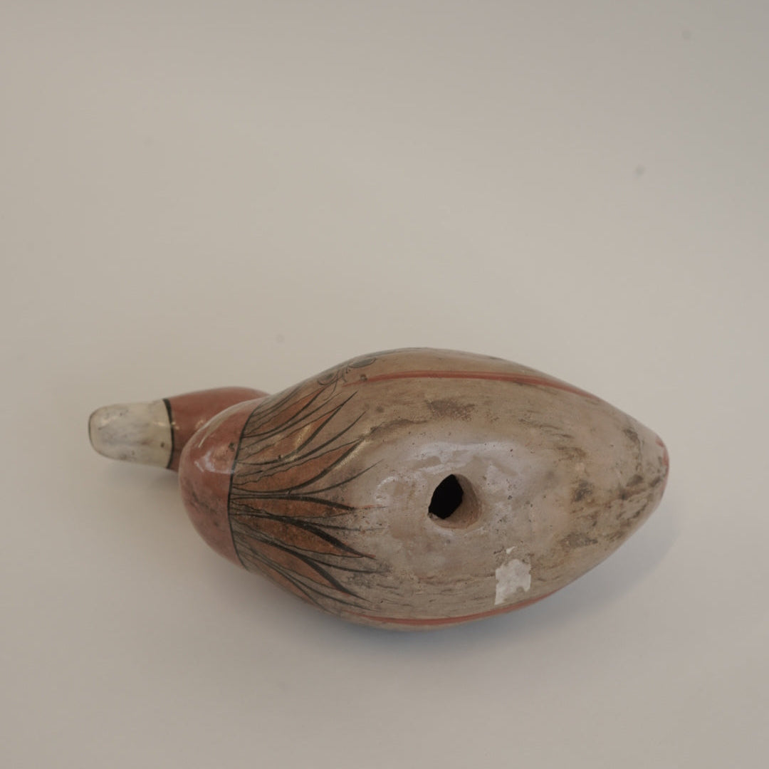トナラの鳥/メキシコ