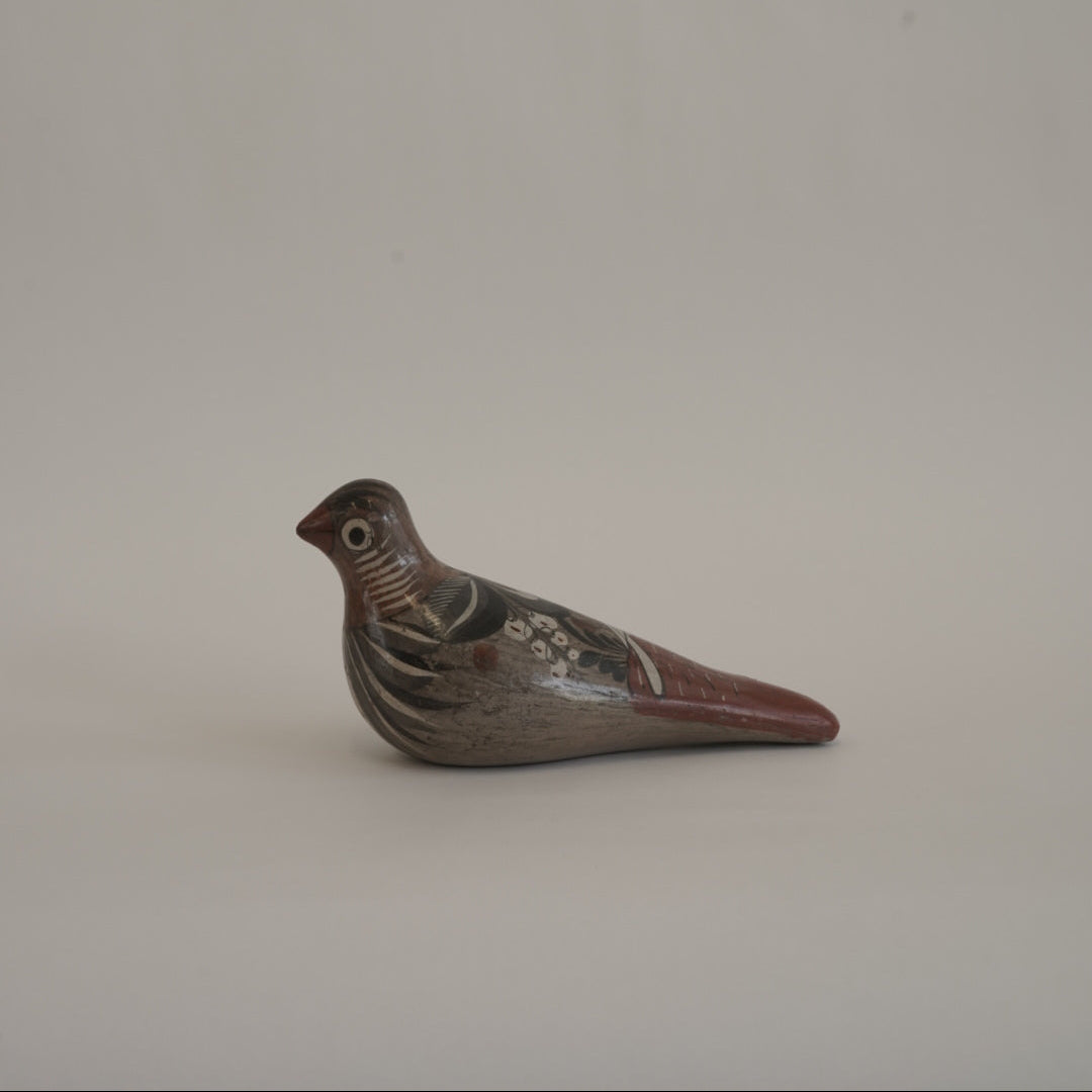 トナラの鳥/メキシコ