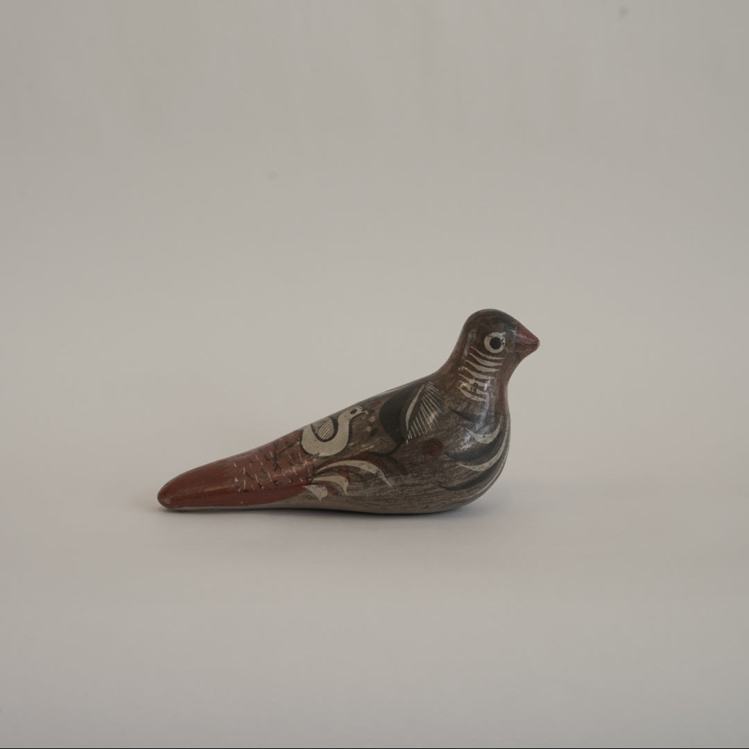 トナラの鳥/メキシコ