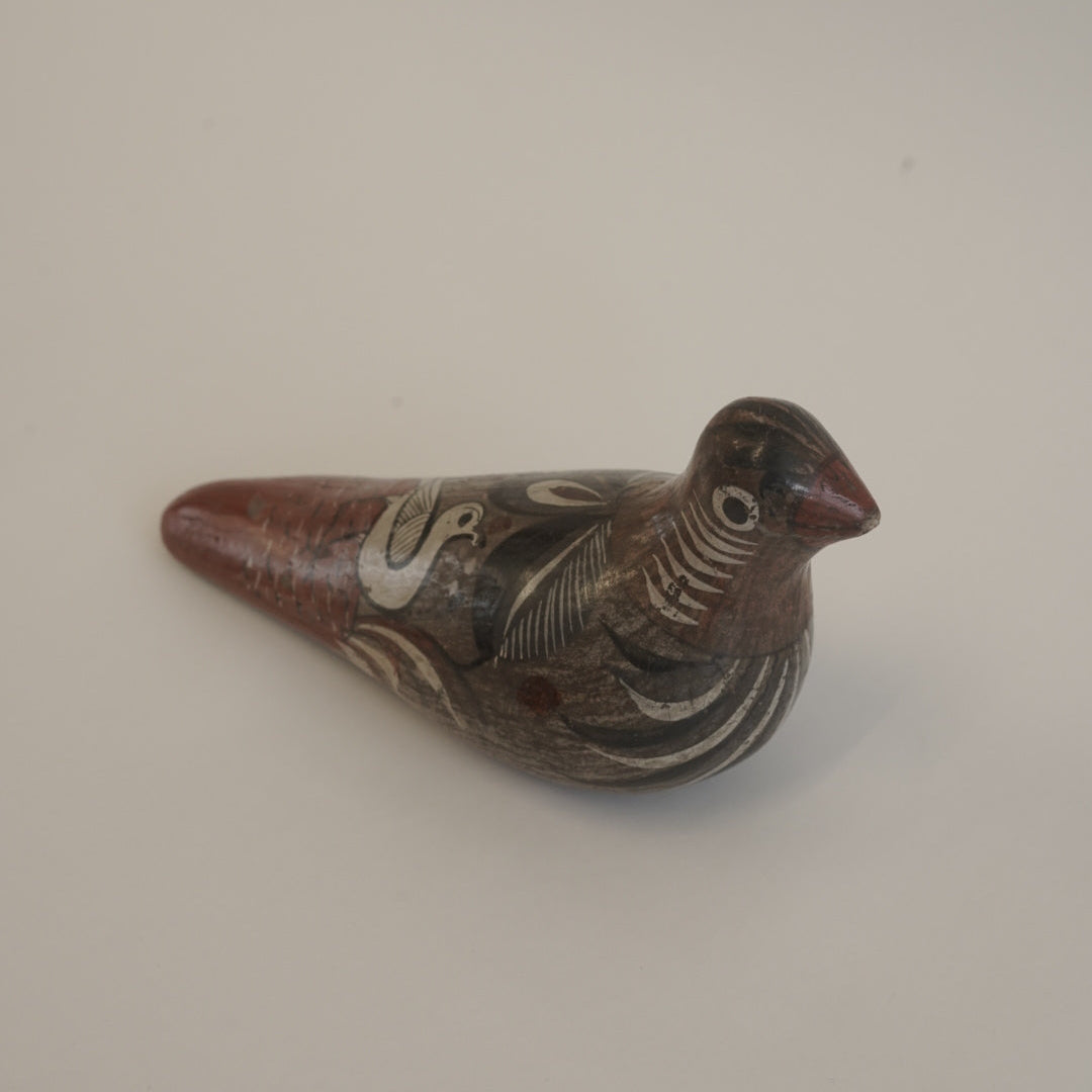 トナラの鳥/メキシコ
