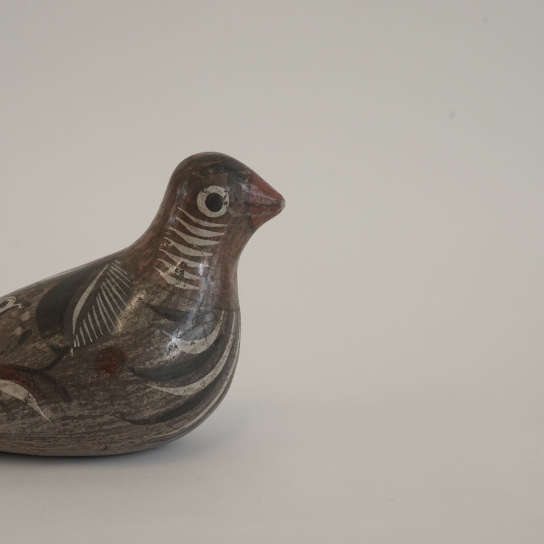 トナラの鳥/メキシコ