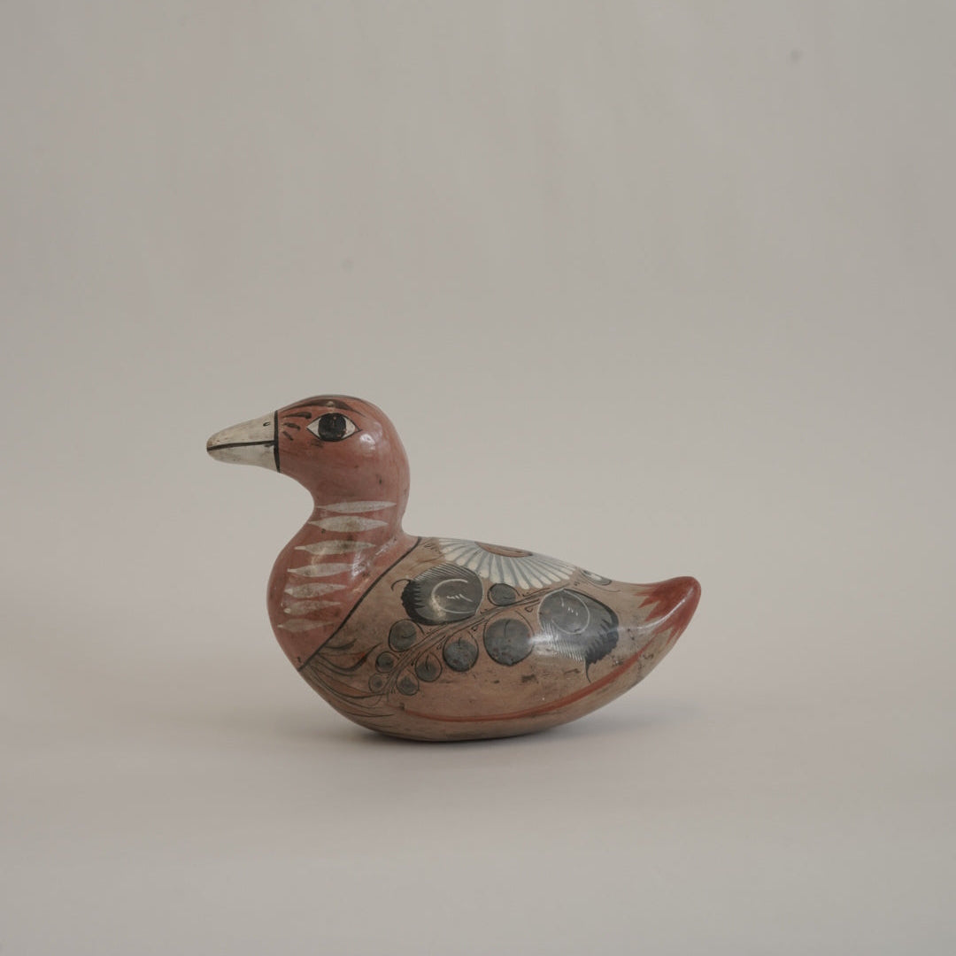 トナラの鳥/メキシコ