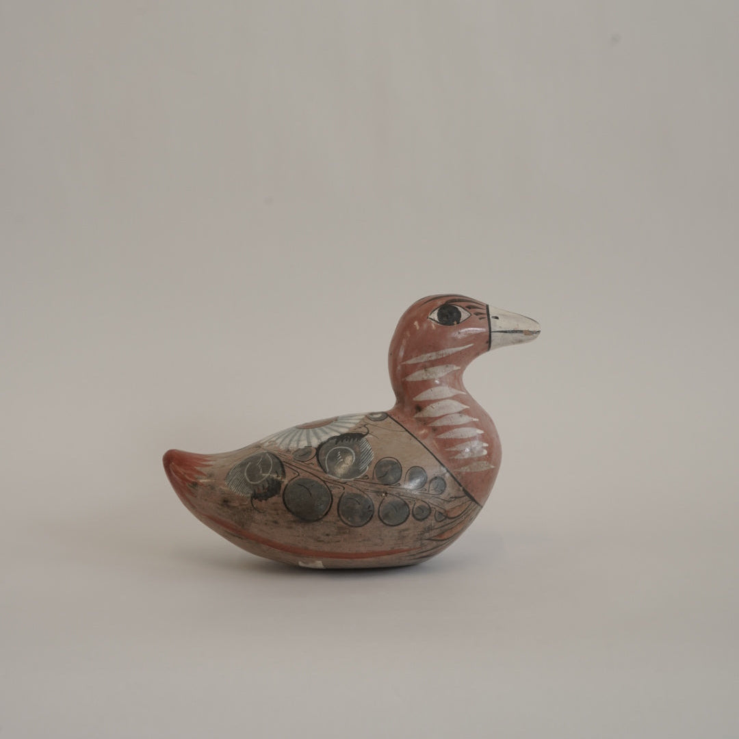 トナラの鳥/メキシコ