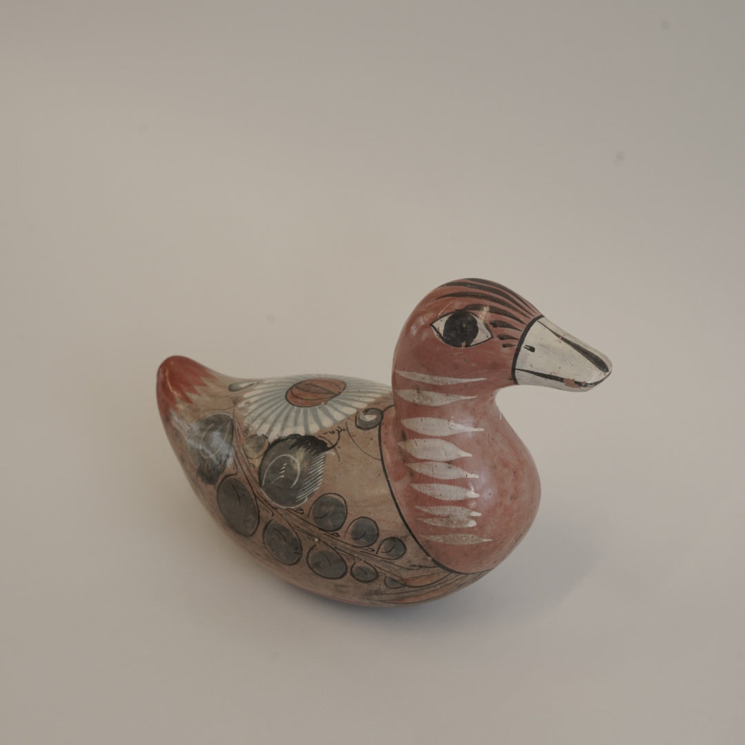 トナラの鳥/メキシコ
