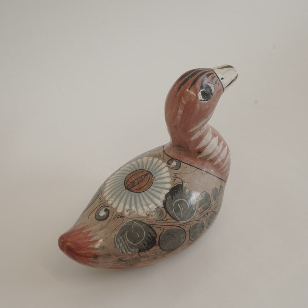 トナラの鳥/メキシコ