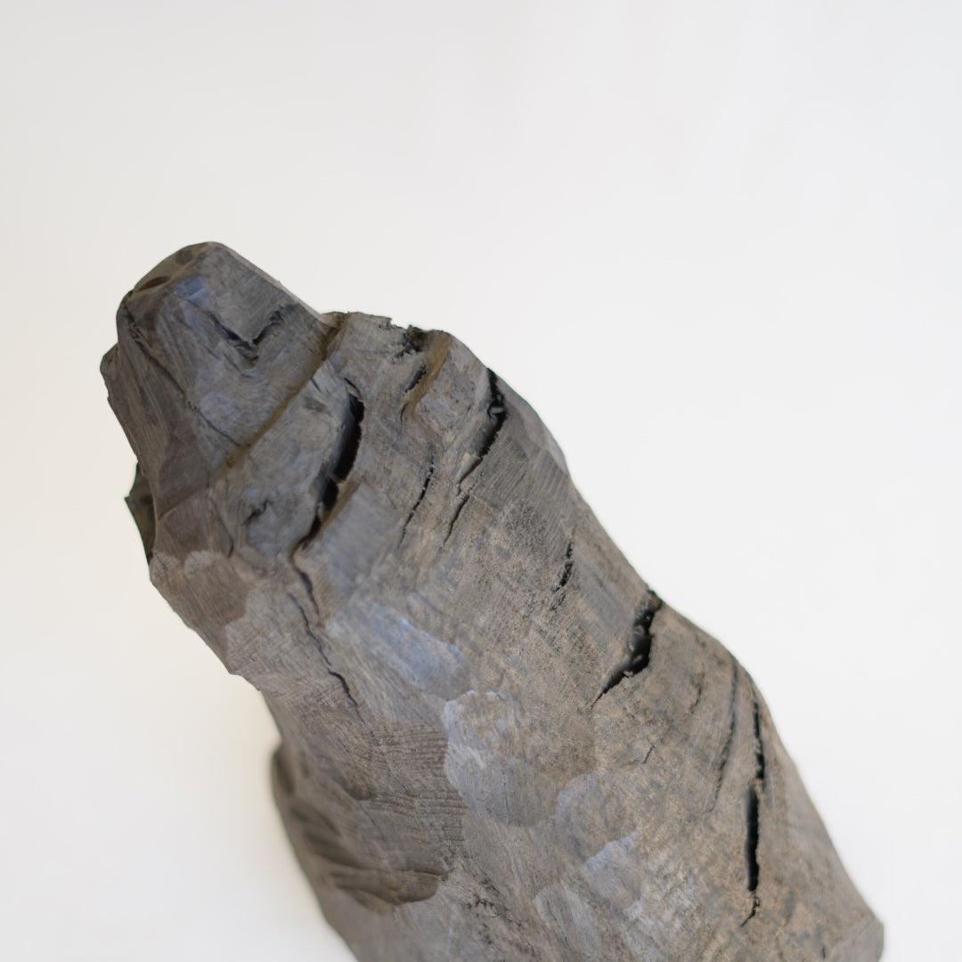 おじさんの木彫熊