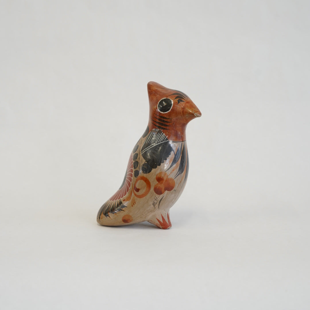 トナラの鳥/メキシコ