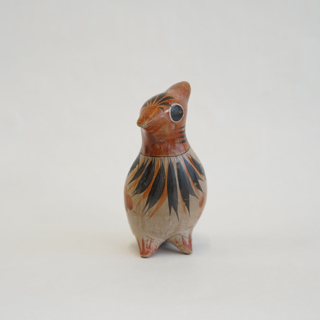 トナラの鳥/メキシコ