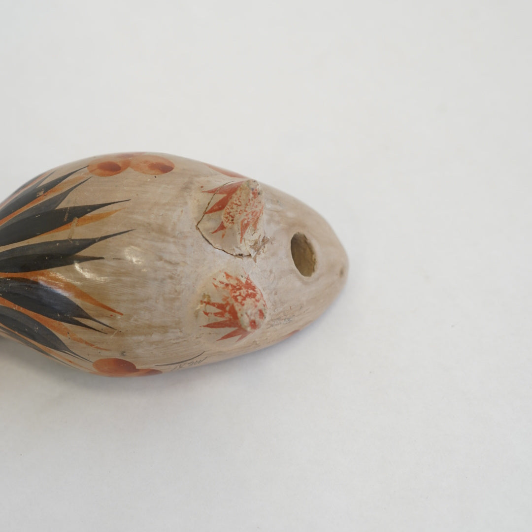 トナラの鳥/メキシコ