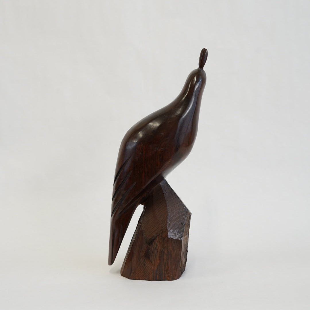 アイアンウッドの鳥/メキシコ