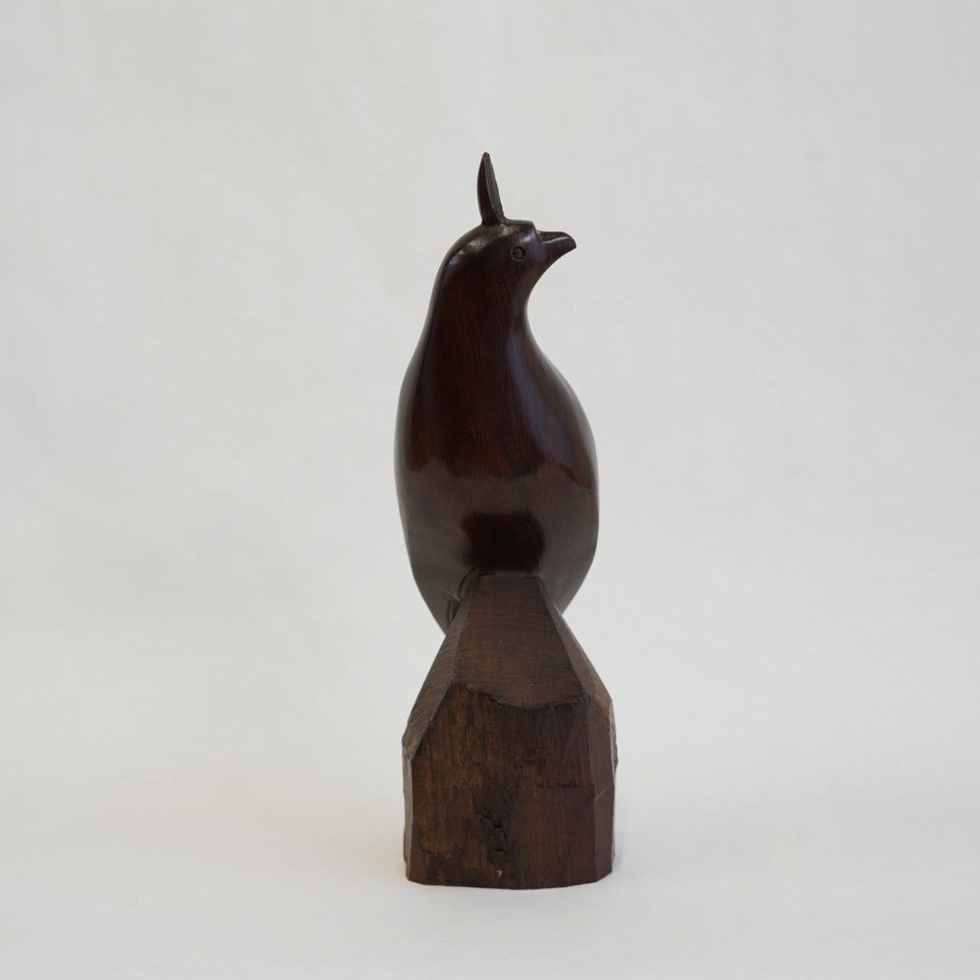 アイアンウッドの鳥/メキシコ