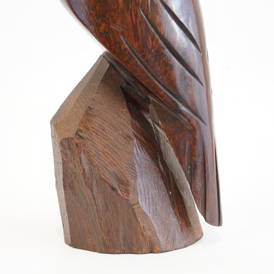 アイアンウッドの鳥/メキシコ