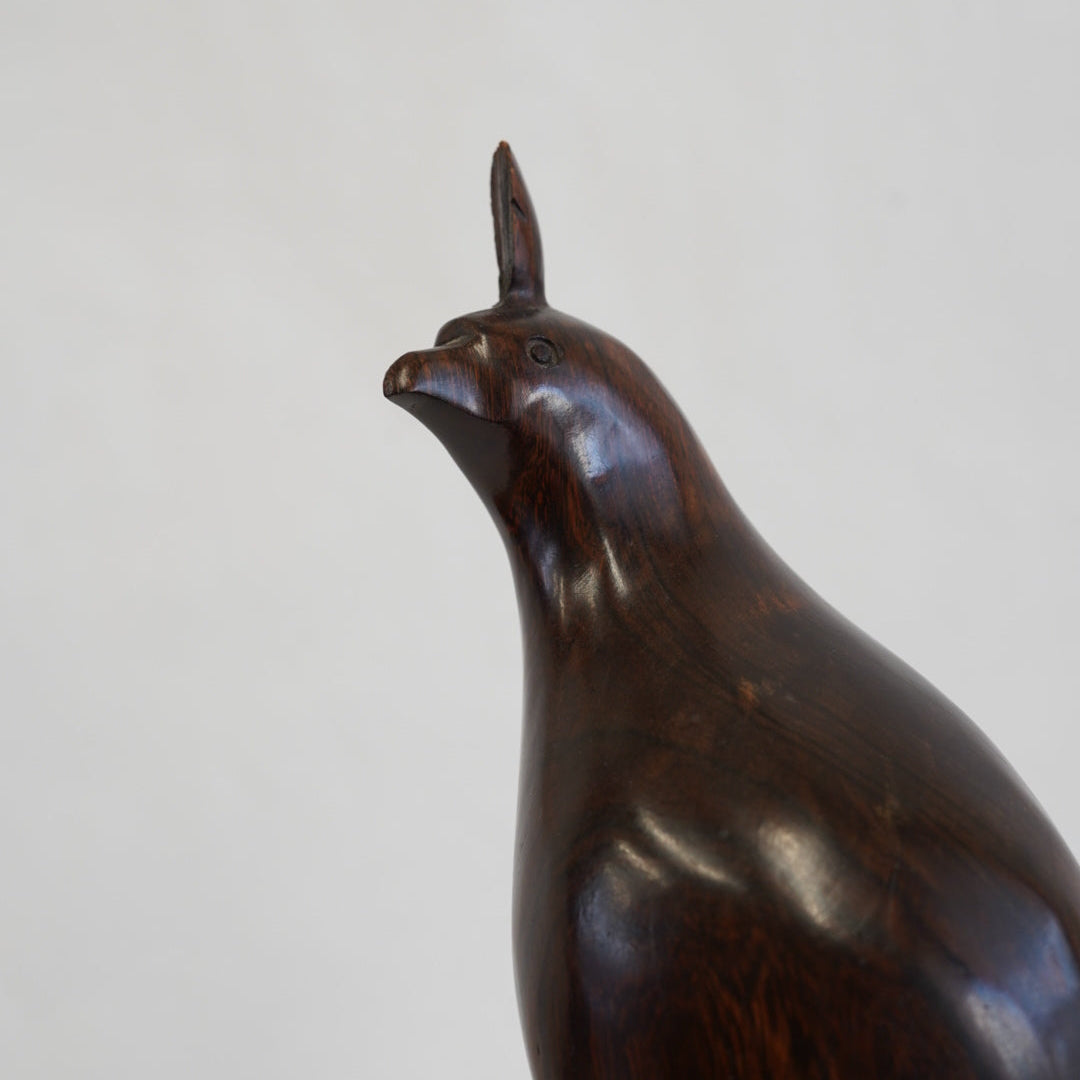 アイアンウッドの鳥/メキシコ