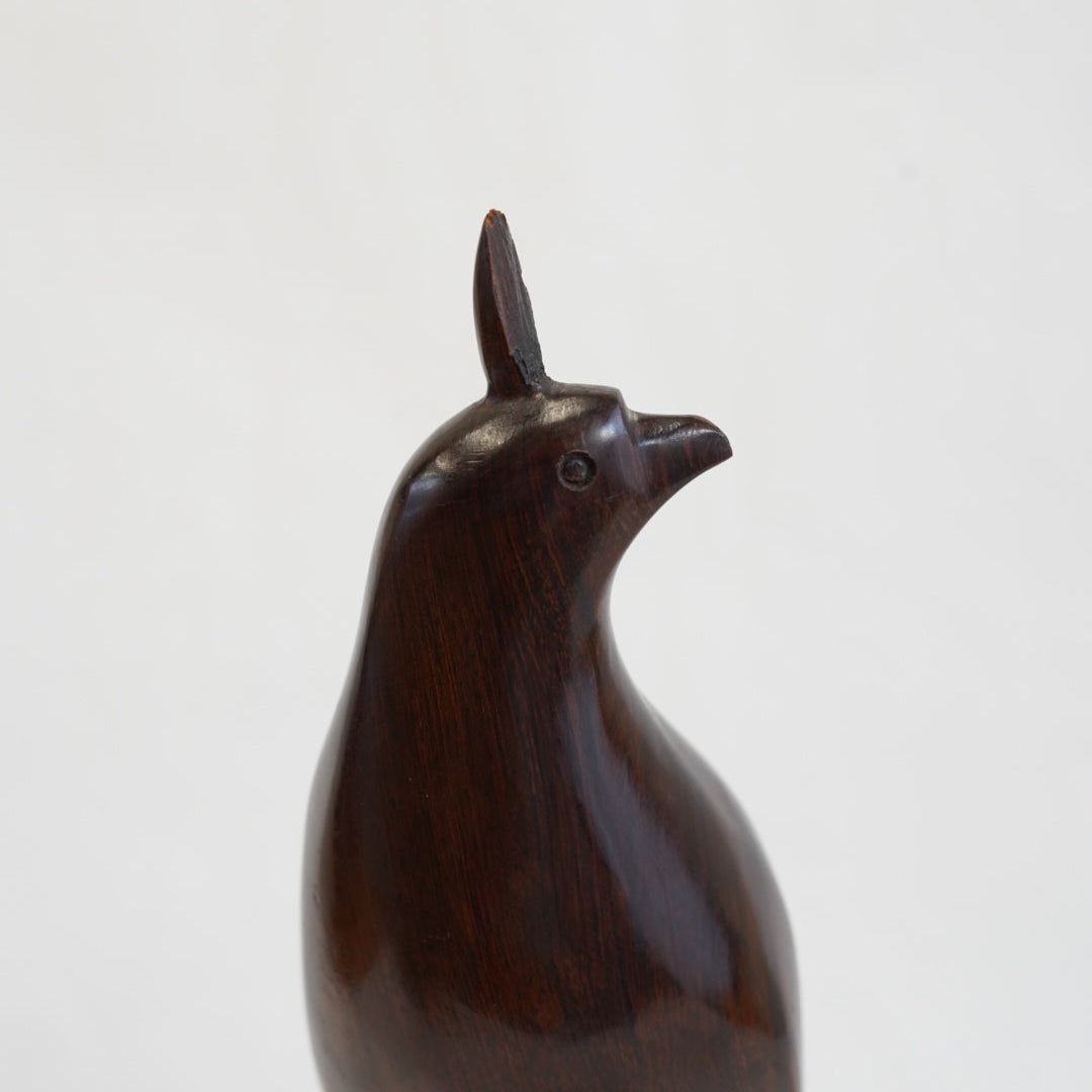 アイアンウッドの鳥/メキシコ